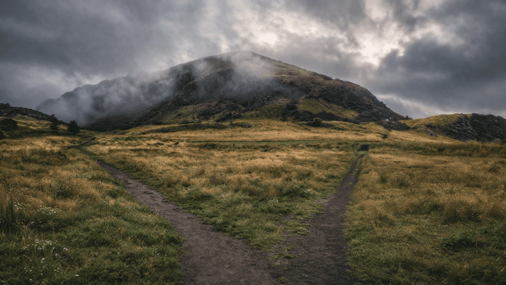 Two paths diverging in different directions. Should you hire a financial advisor or self-manage?