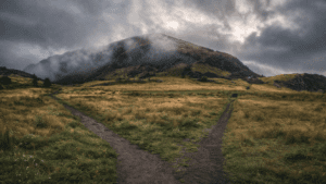 Two paths diverging in different directions. Should you hire a financial advisor or self-manage?